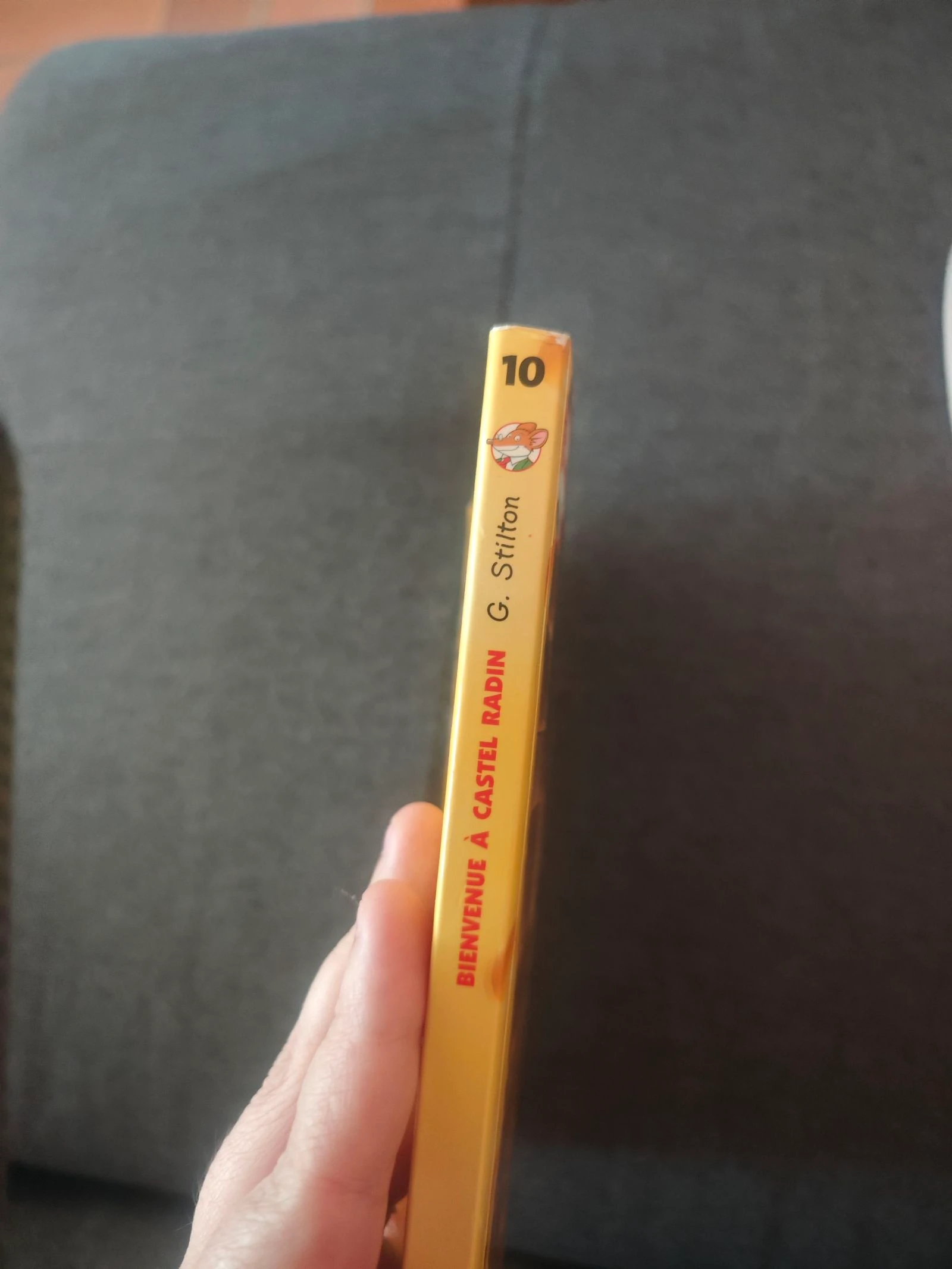 Welkom bij Castel Radin Deel 10 (Geronimo Stilton) – photo 2